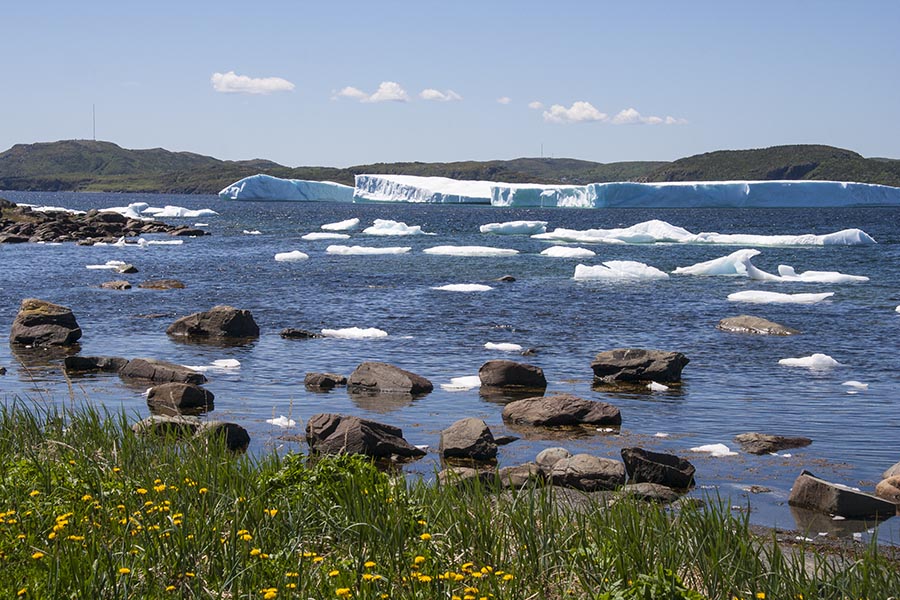Icebergs in St. Anthony Bight